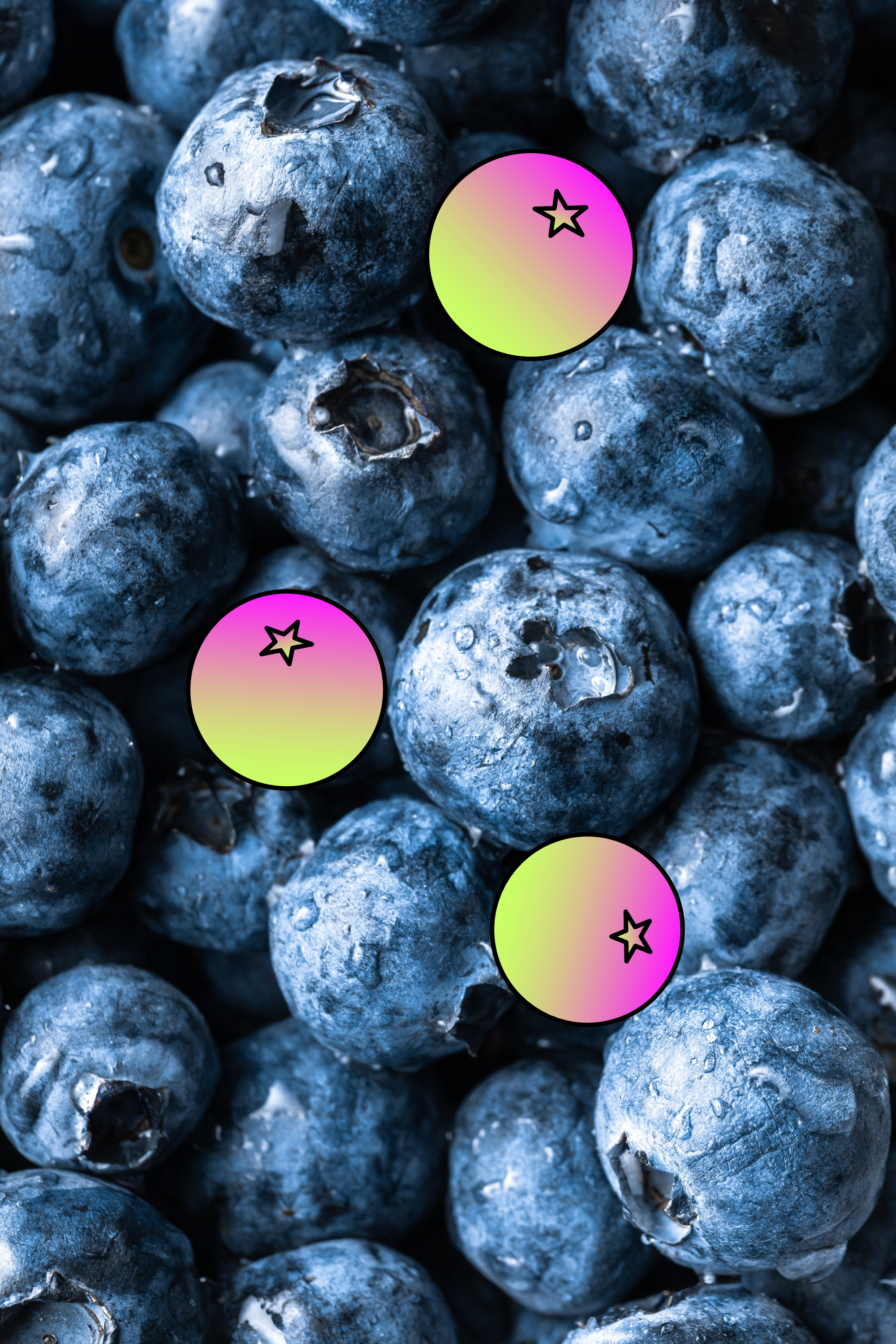 Close-up of blueberries with added trooberries (fictional multicolored berries with stars) interspersed among them.