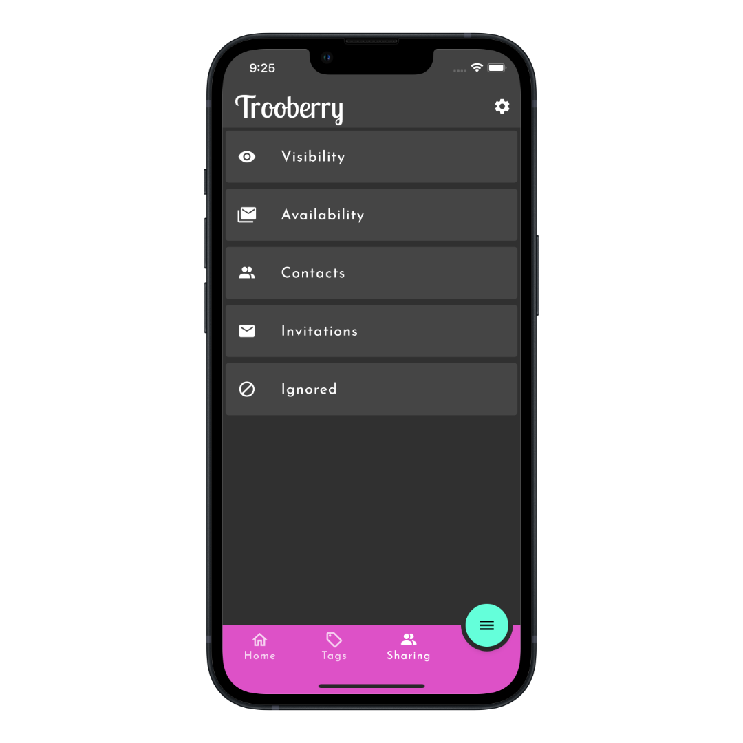 Promo image of Trooberry app on iPhone showing basic social settings.